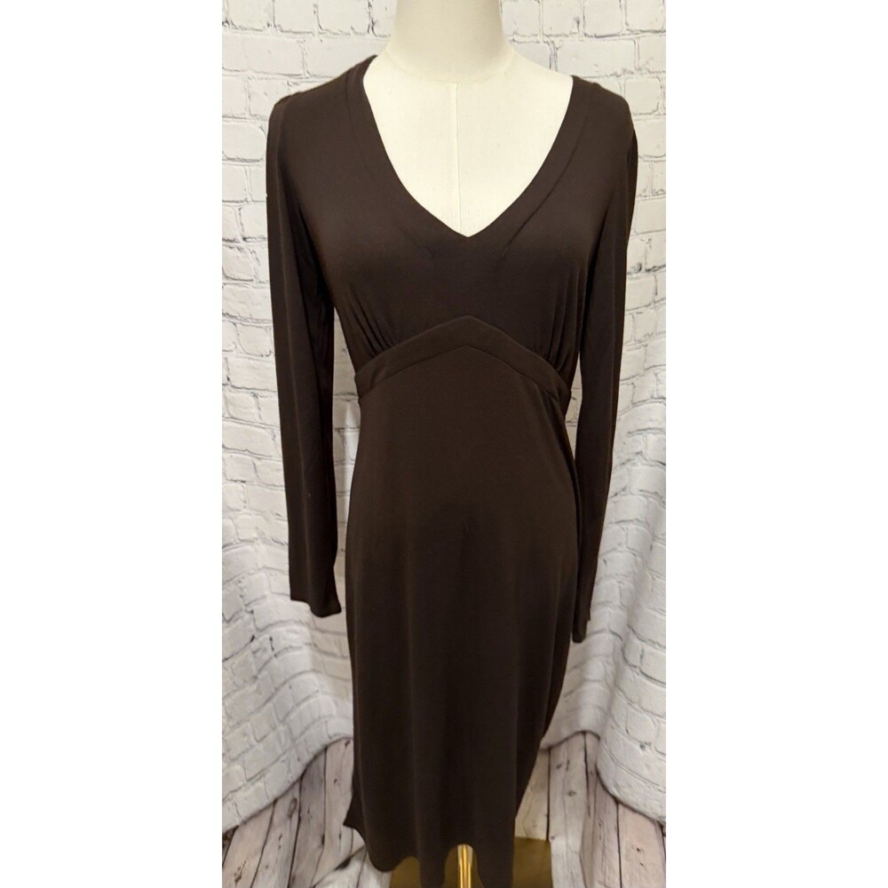 Ann Taylor LOFT Brown Pullover V Neck Dress Long Sleeve Rayon Blend Size 4